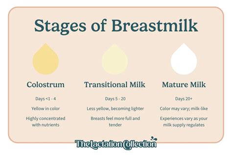 when does colostrum start leaking|Understanding lactation: Signs your milk is coming in during。